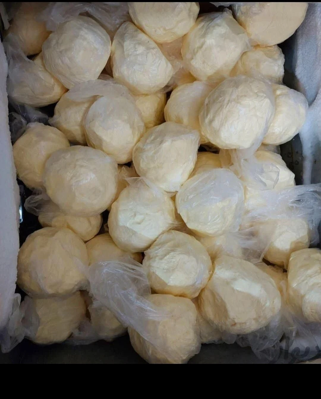 لبنیات تعاونی حسام - تصویر 5