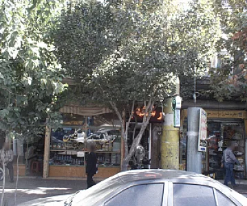 تزئینات گلچین