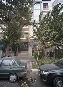 رنگ ساختمانی علی