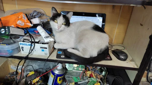 تعمیرات لوازم خانگی تکنو سرویس