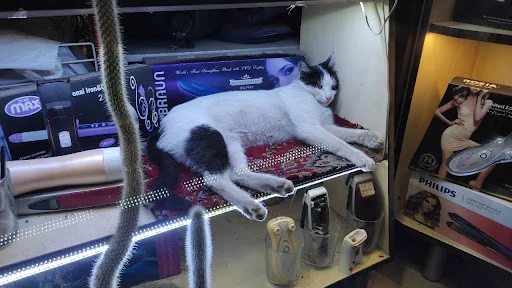 تعمیرات لوازم خانگی تکنو سرویس