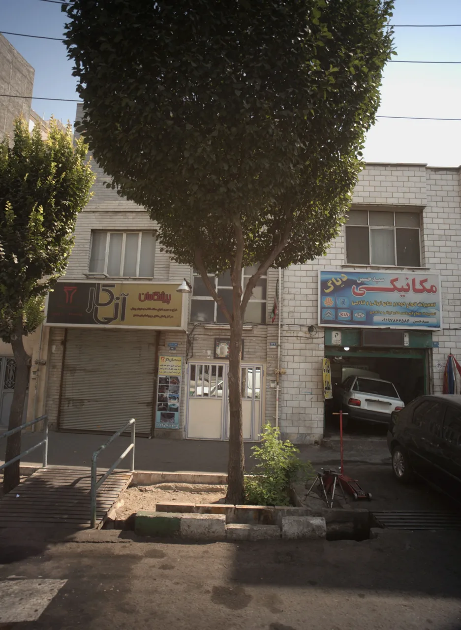 پیشگامان آنی کار