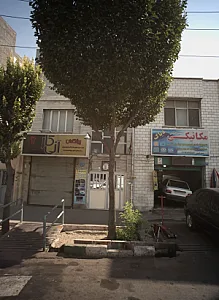 پیشگامان آنی کار