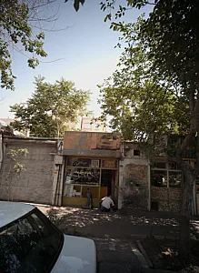 رنگ اتومبیل بهار