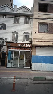 ایلیا کابین