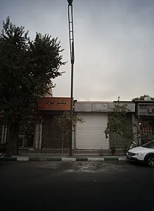 تکنولولا