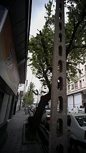 مرکز پخش سرامیک تبریز کف